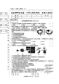 吉林省白山市部分学校2024-2025学年七年级上学期期末考试生物试卷