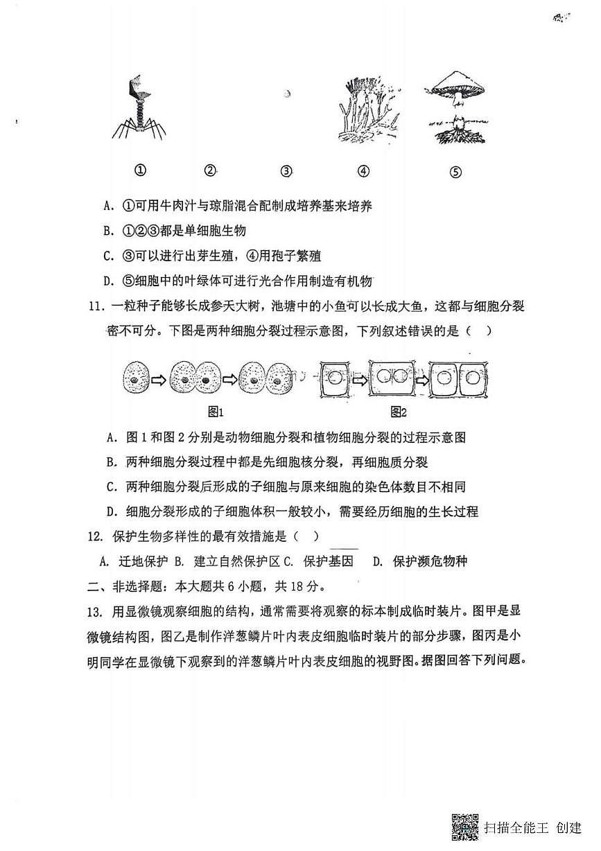 辽宁省沈阳市四十三中学2025-2026学年七年级上学期12月月考生物试题第3页