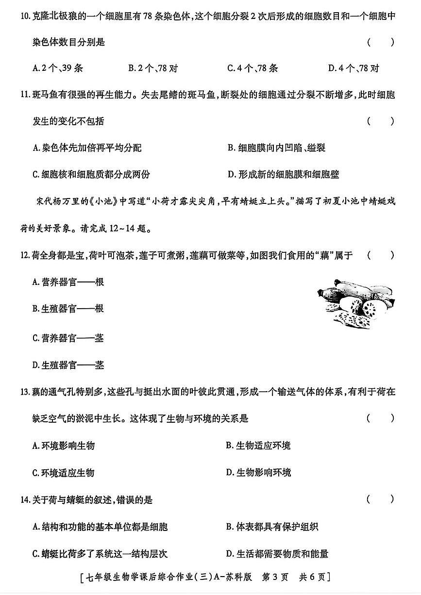 陕西省西安市西咸新区部分学校2025-2026学年七年级上学期课后综合作业(三)生物学试题(月考)第3页