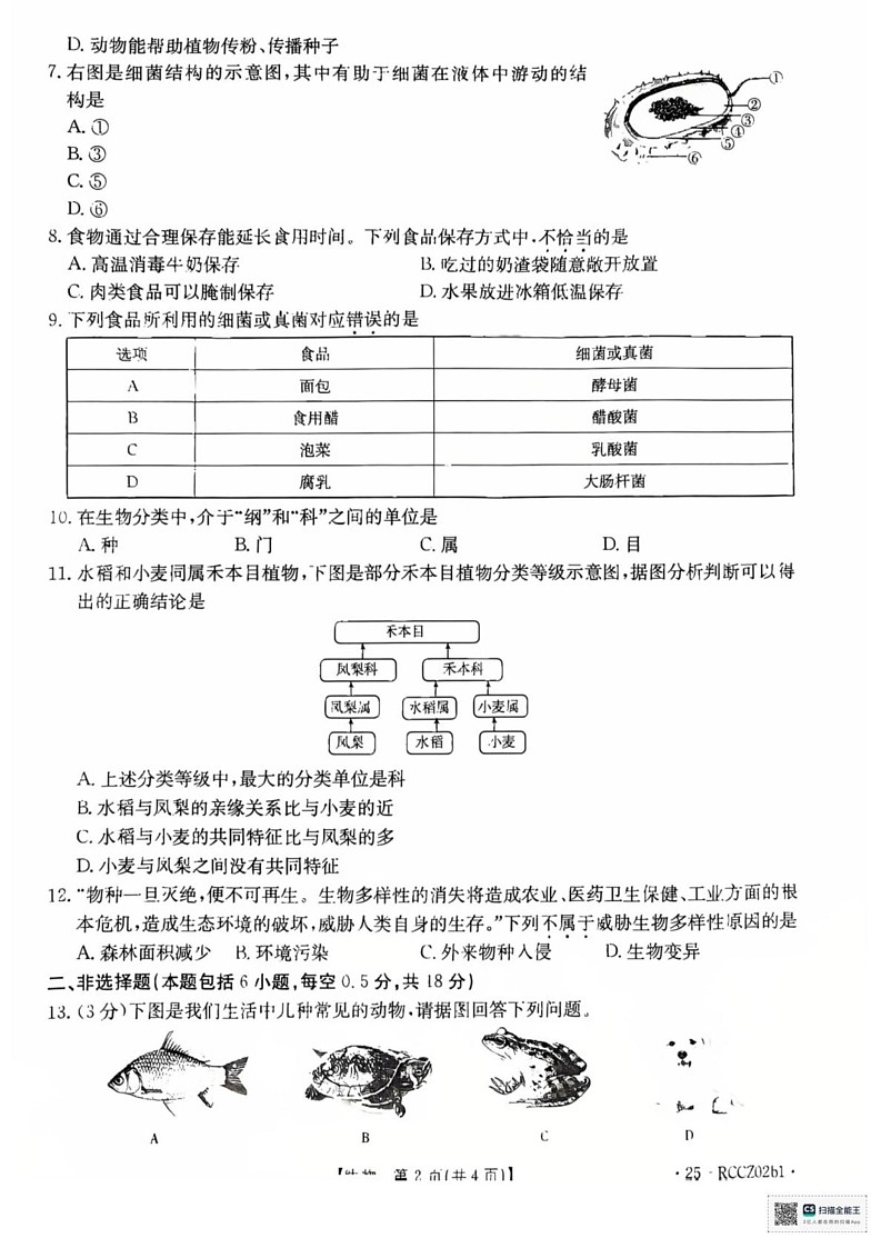 辽宁省盘锦市大洼区2024-2025学年八年级上学期1月期末生物试题第2页