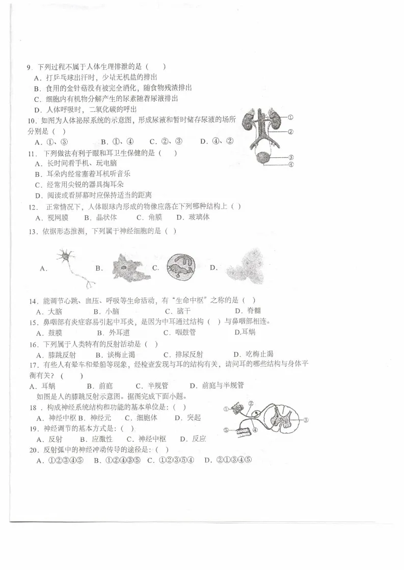 宁夏中卫市中宁县2024-2025学年八年级上学期1月期末生物试题第2页
