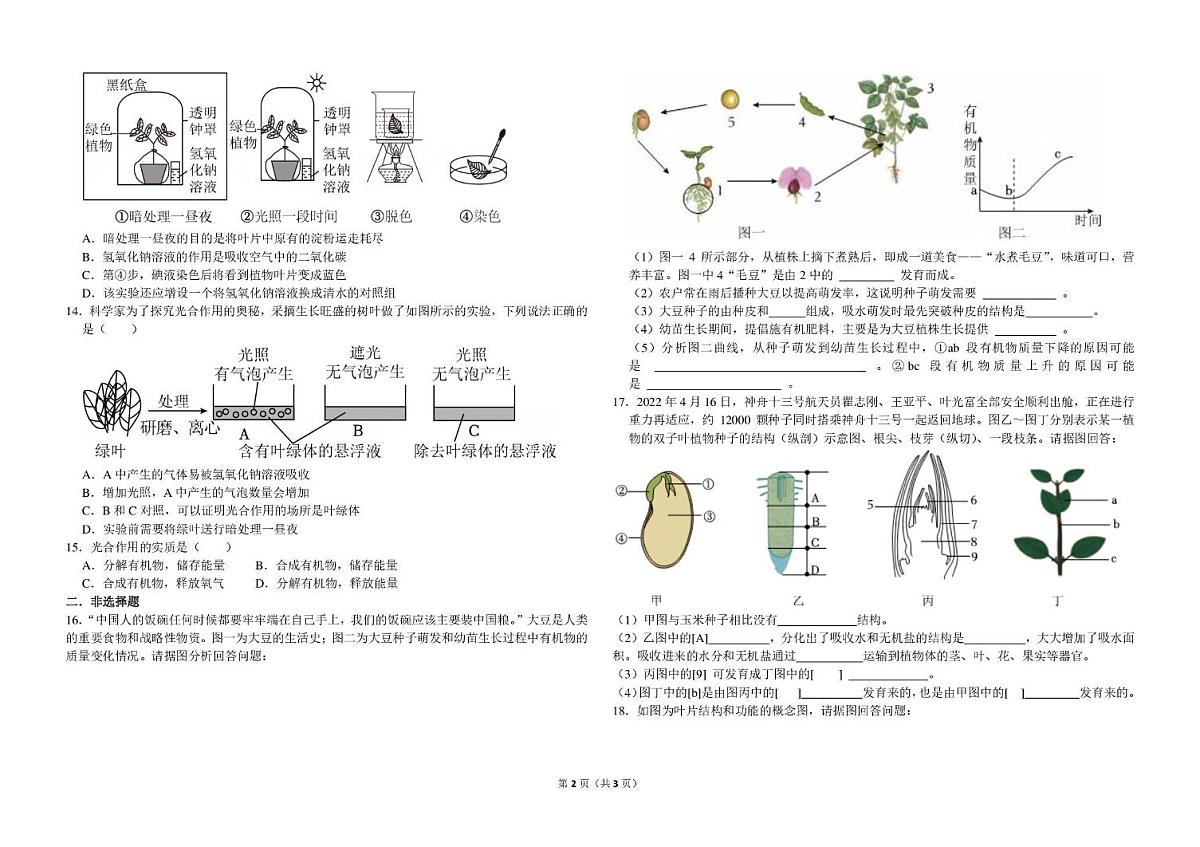 山东省泰安市宁阳县第三中学2025-2026学年七年级上学期12月第三次月考生物试题第2页