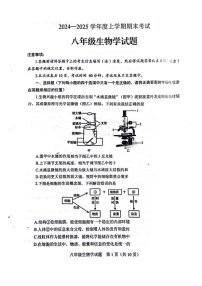 山东省泰安市肥城市2024-2025学年八年级上学期1月期末考试生物试题