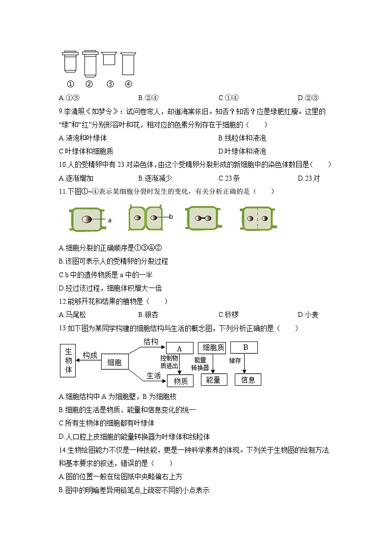 广西防城港市防城区2025-2026学年七年级上学期期中生物试卷(学生版)第2页