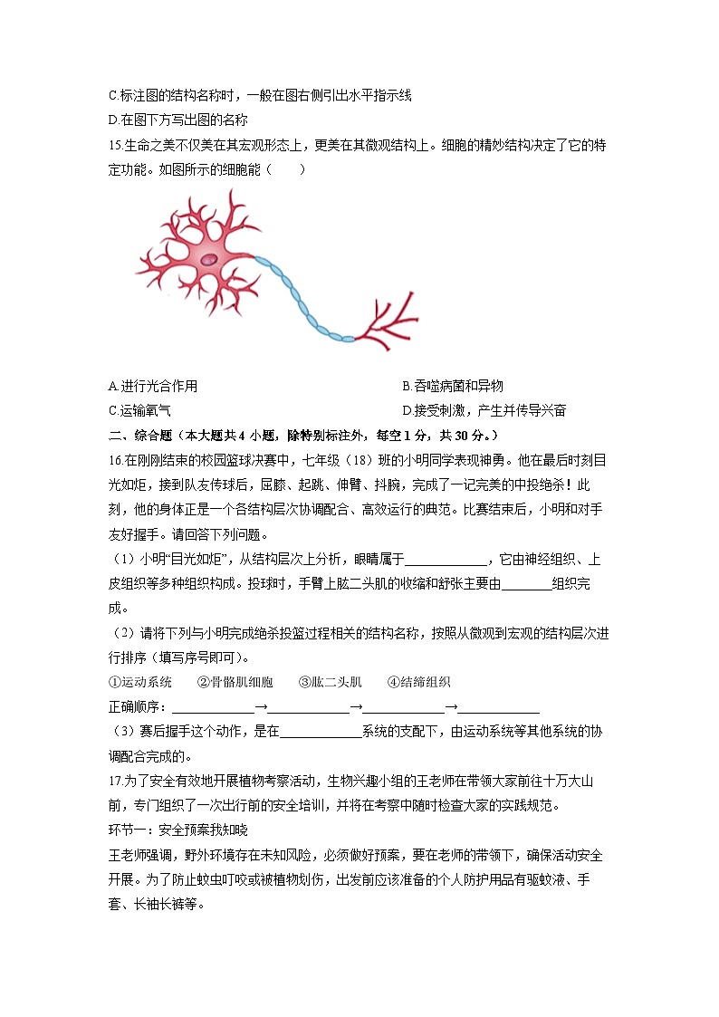 广西防城港市防城区2025-2026学年七年级上学期期中生物试卷(学生版)第3页