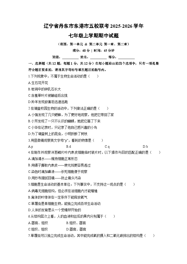 辽宁省丹东市东港市五校联考2025-2026学年七年级上学期期中生物试卷(学生版)第1页
