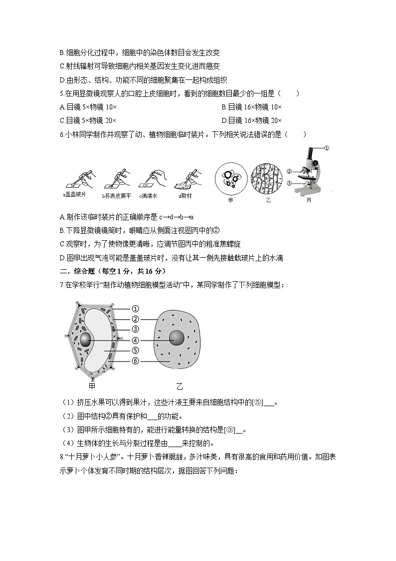 四川省泸州市合江县第五片区2025-2026学年七年级上学期期中联考生物试卷(学生版)第2页