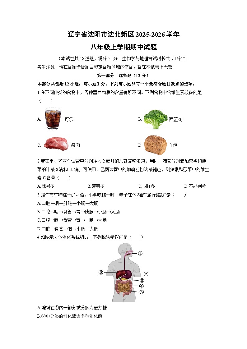 辽宁省沈阳市沈北新区2025-2026学年八年级上学期期中生物试卷(学生版)第1页