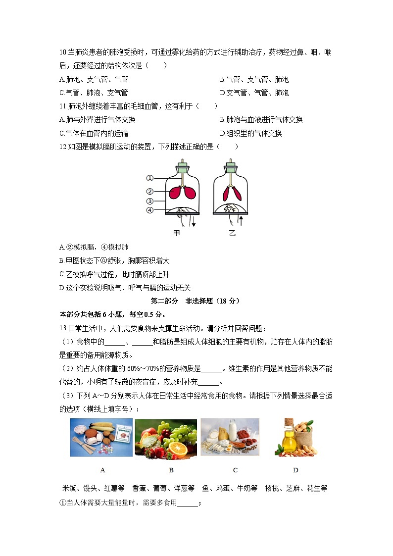 辽宁省沈阳市沈北新区2025-2026学年八年级上学期期中生物试卷(学生版)第3页