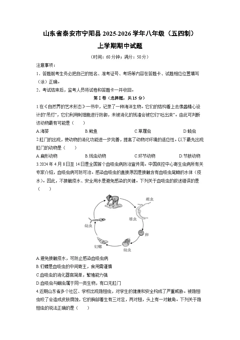 山东省泰安市宁阳县2025-2026学年八年级(五四制)上学期期中生物试卷(学生版)第1页