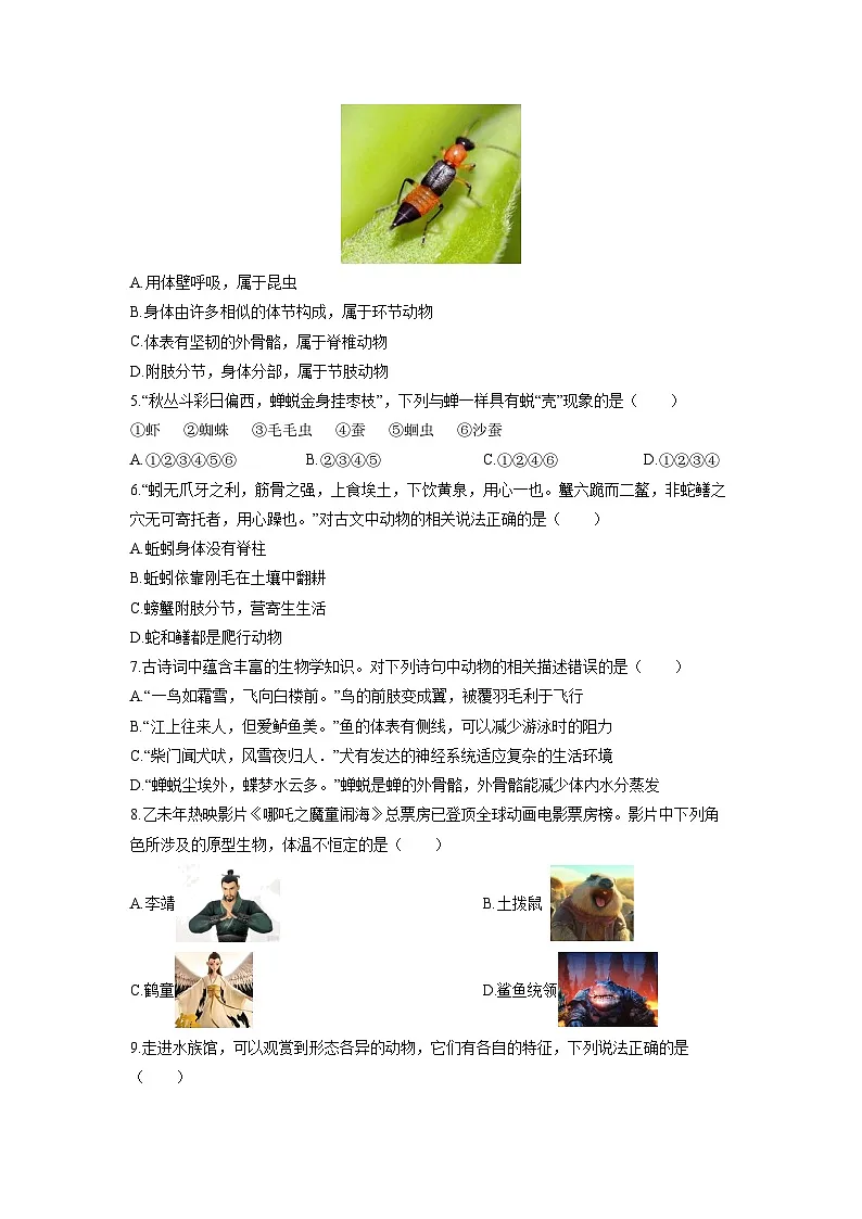 山东省泰安市宁阳县2025-2026学年八年级(五四制)上学期期中生物试卷(学生版)第2页