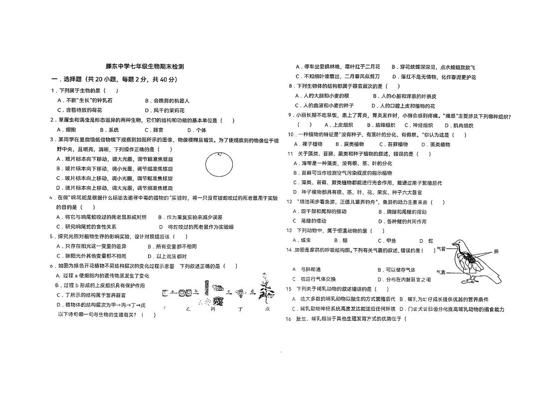 山东省枣庄市滕州市滕东中学2024-2025学年七年级上学期期末检测生物试卷第1页