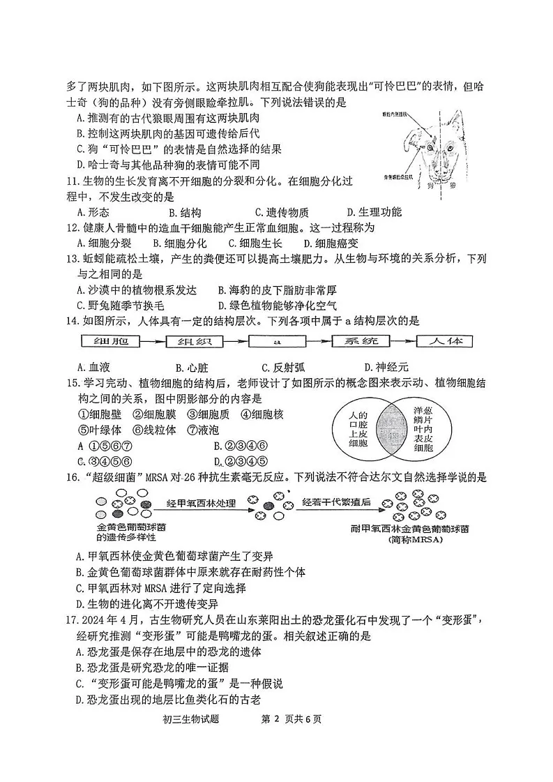 山东省淄博市淄川区2024-2025学年八年级上学期1月期末生物试题第2页