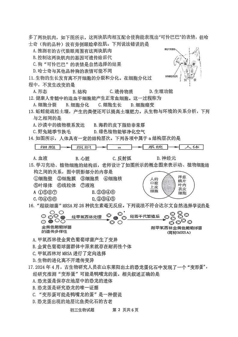 山东省淄博市淄川区2024-2025学年八年级上学期1月期末生物试题第2页