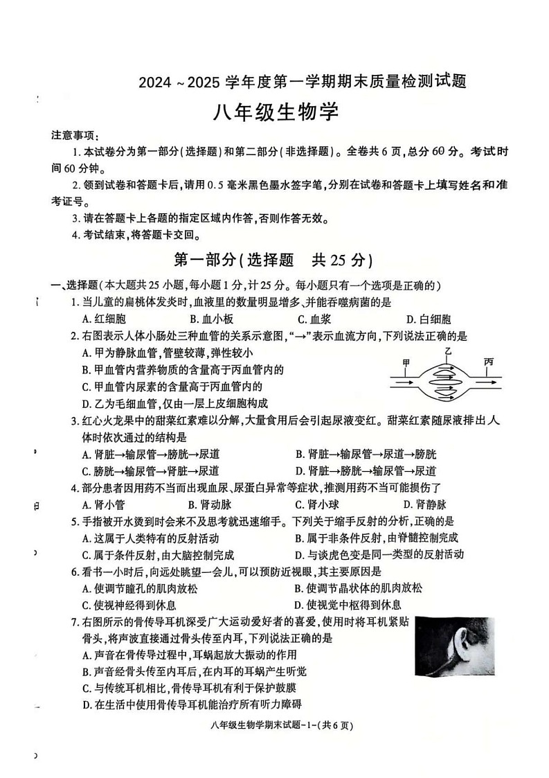 陕西省渭南市富平县2024-2025学年八年级上学期期末质量检测试题生物试卷第1页