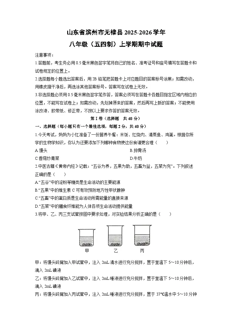 山东省滨州市无棣县2025-2026学年八年级(五四制)上学期期中生物试卷(学生版)第1页