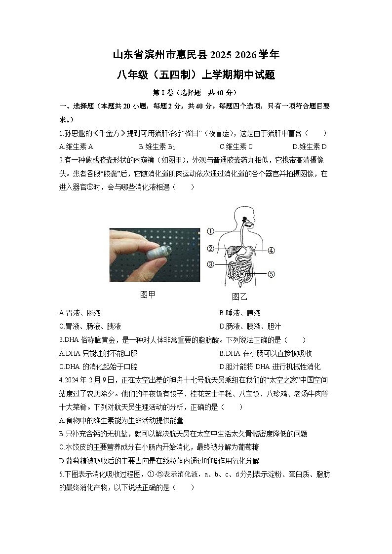 山东省滨州市惠民县2025-2026学年八年级(五四制)上学期期中生物试卷(学生版)第1页