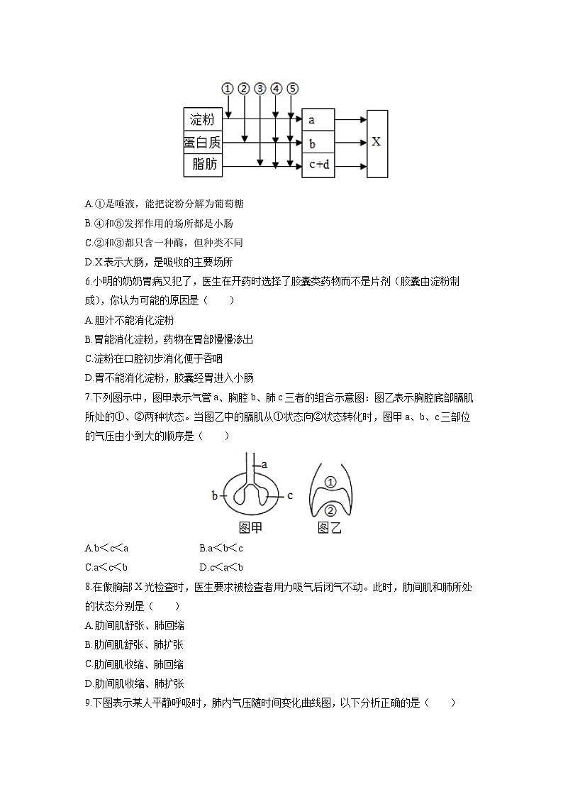 山东省滨州市惠民县2025-2026学年八年级(五四制)上学期期中生物试卷(学生版)第2页