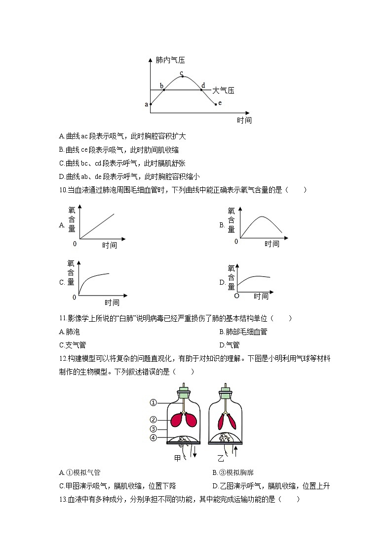 山东省滨州市惠民县2025-2026学年八年级(五四制)上学期期中生物试卷(学生版)第3页