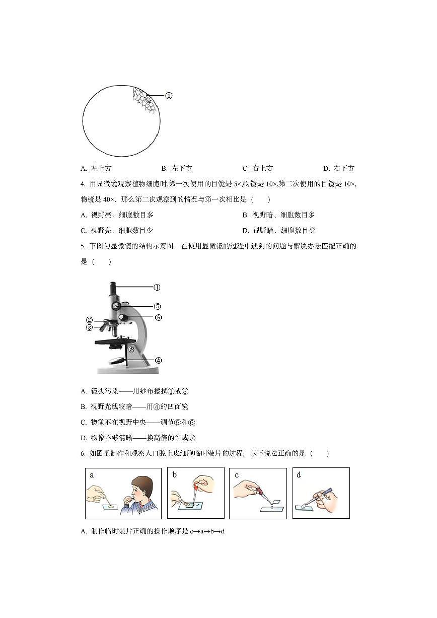 湖南省怀化市洪江市部分学校2025-2026学年七年级上学期期中生物试卷(学生版)第2页