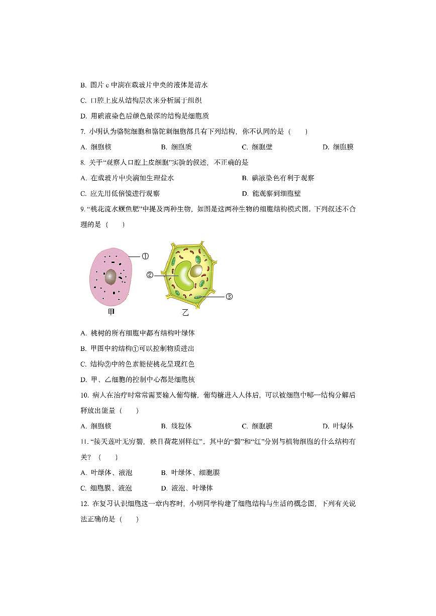 湖南省怀化市洪江市部分学校2025-2026学年七年级上学期期中生物试卷(学生版)第3页