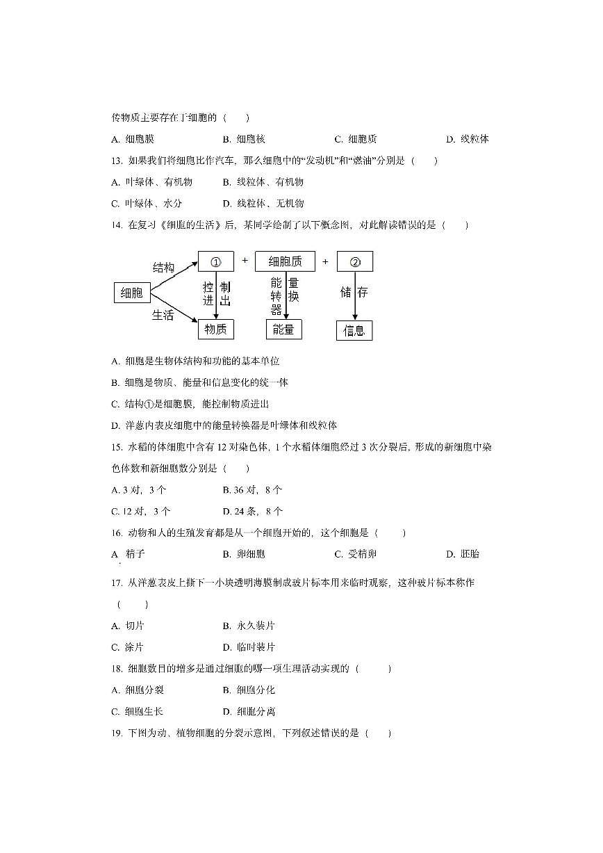 四川省泸州市龙马潭区2025-2026学年七年级上学期期中生物试卷(学生版)第3页