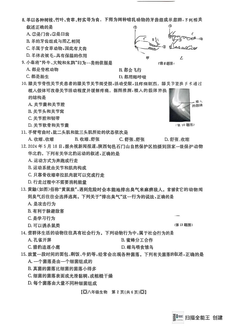 陕西省西安市高陵区2024-2025学年八年级上学期期末考试生物试题第2页