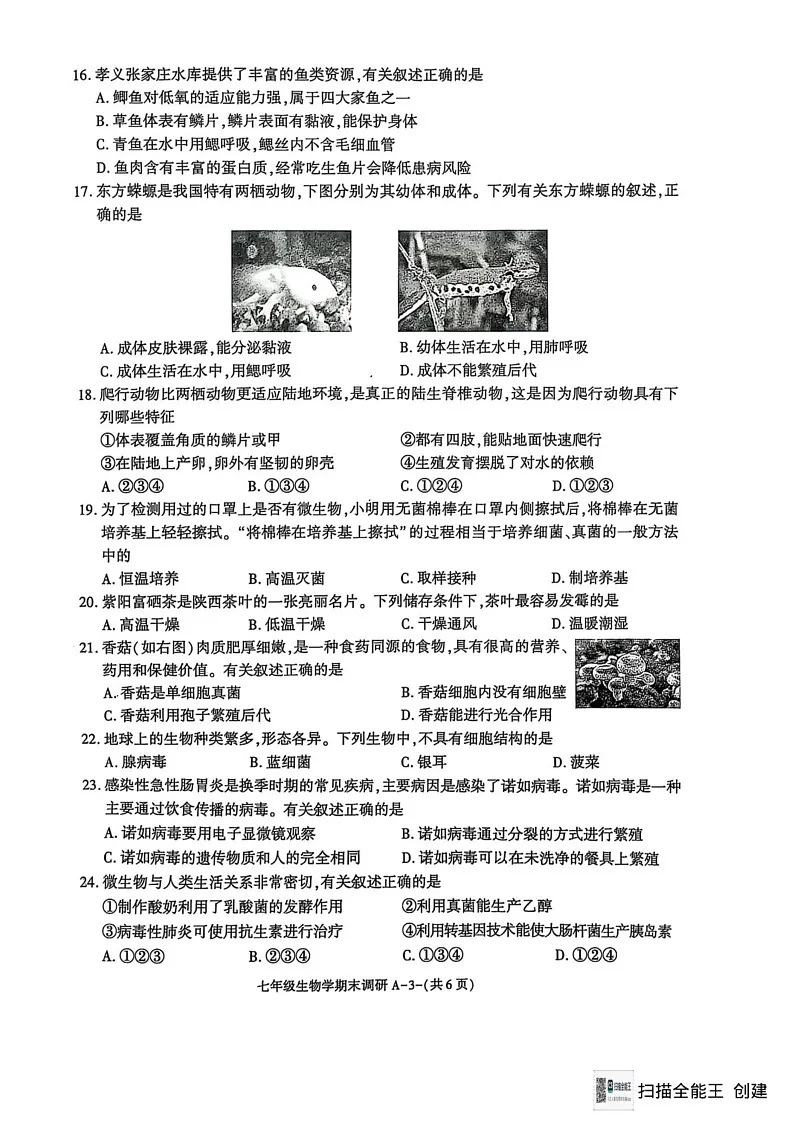 陕西省西安市高陵区2024-2025学年七年级上学期1月期末生物试题第3页