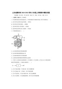 山东省滕州市2025-2026学年八年级上学期期中模拟生物试卷（学生版）