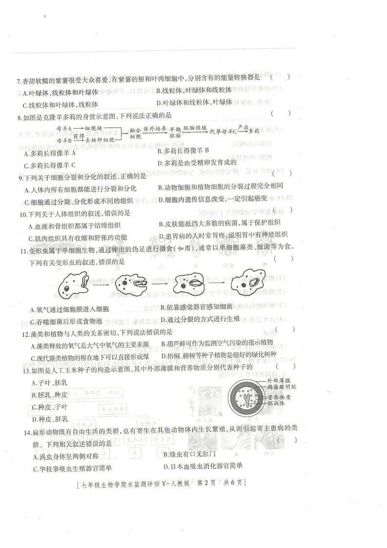陕西省榆林市榆阳区2024-2025学年七年级上学期1月期末生物试题第2页