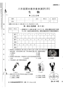 陕西省榆林市子洲县2024-2025学年八年级上学期期末教学素养测评生物试卷(四)
