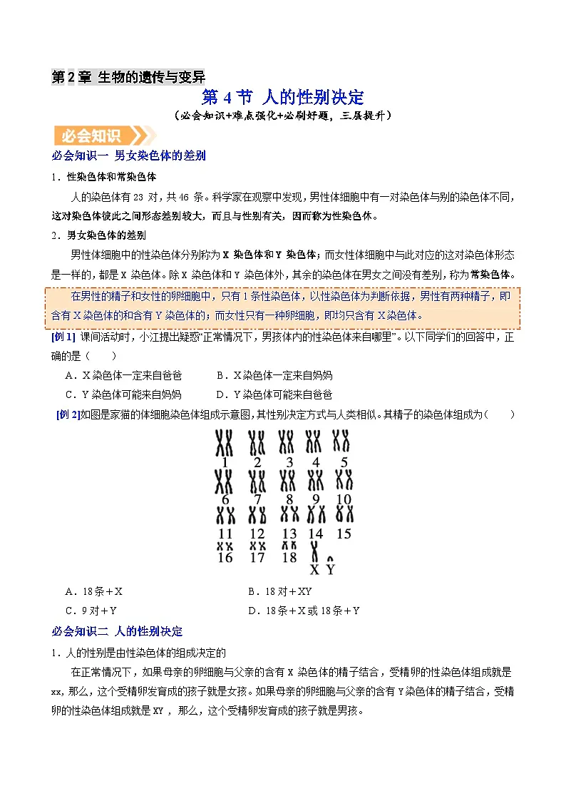 6.2.4 人的性别决定(提升讲义)生物新教材人教版八年级下册(原卷版)第1页