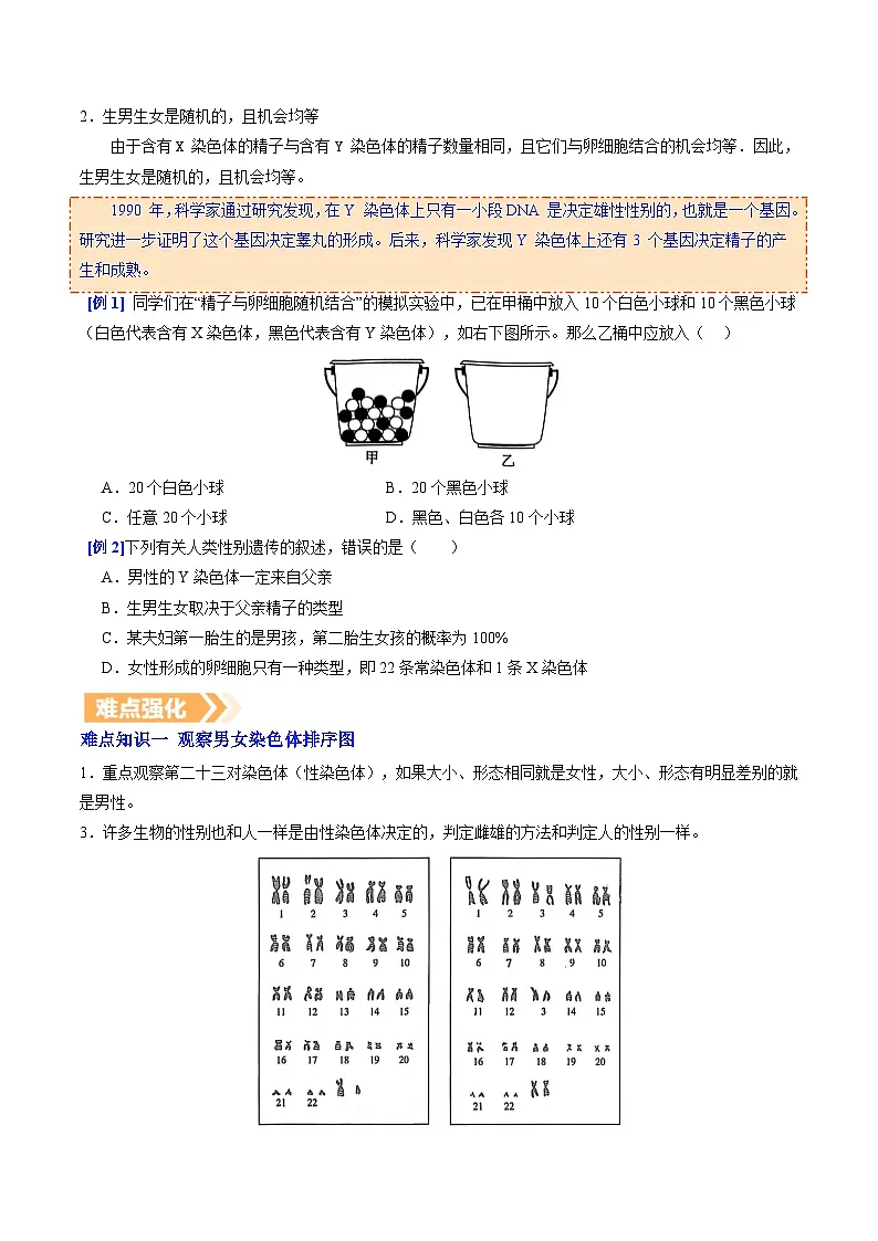6.2.4 人的性别决定(提升讲义)生物新教材人教版八年级下册(原卷版)第2页