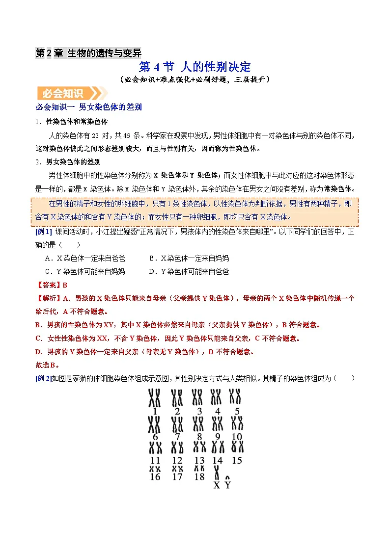 6.2.4 人的性别决定(提升讲义)生物新教材人教版八年级下册(解析版)第1页