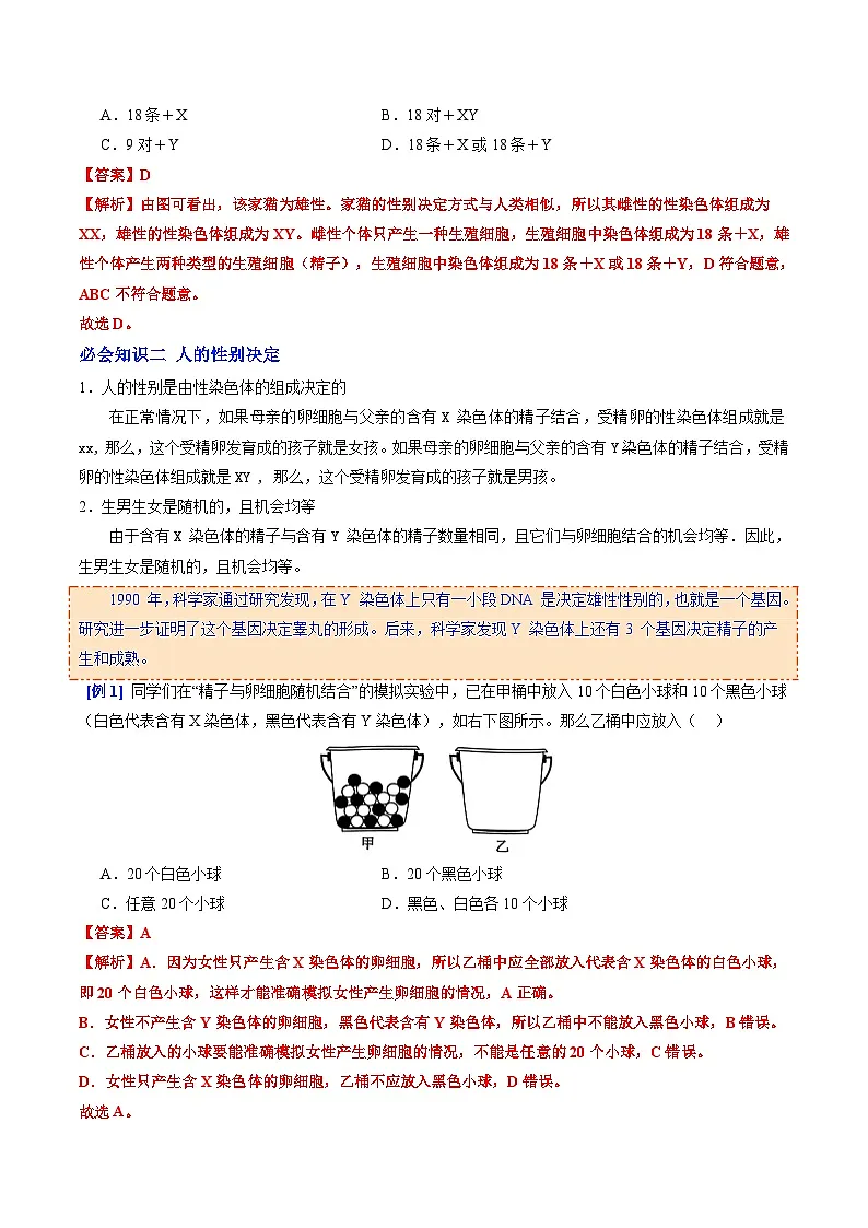 6.2.4 人的性别决定(提升讲义)生物新教材人教版八年级下册(解析版)第2页
