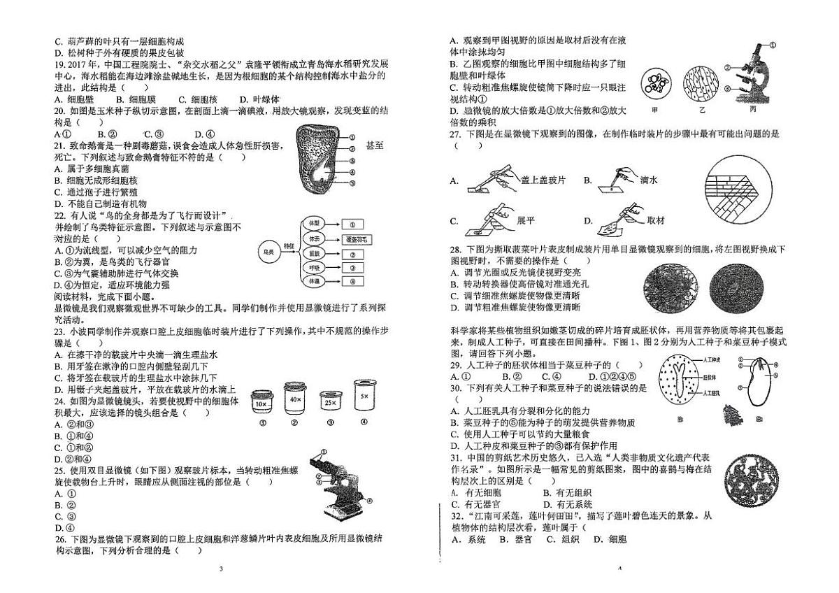 山东省青岛市即墨区实验学校2025-2026学年七年级上学期12月月考生物试卷第2页