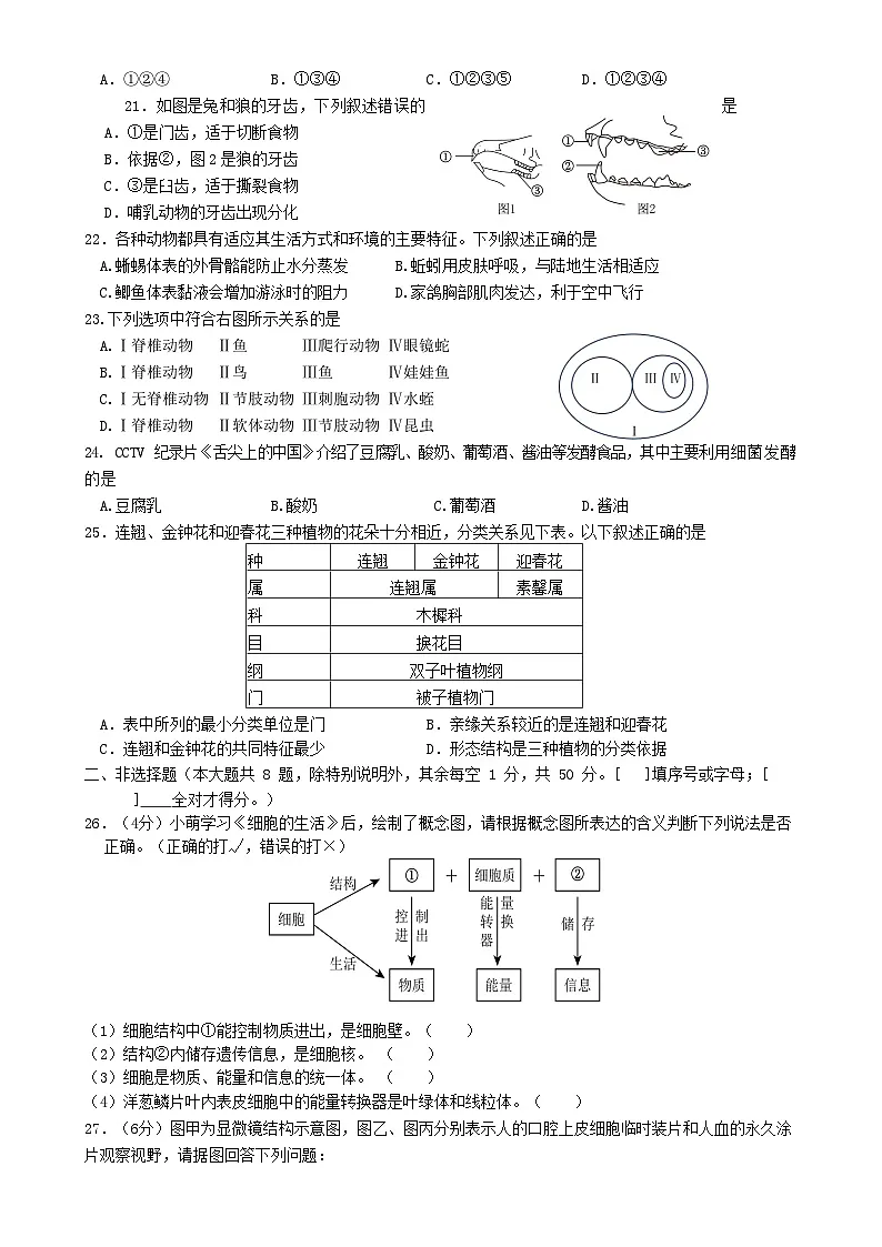 福建省厦门市同安区七年级上学期期末模拟生物试题-A4第3页