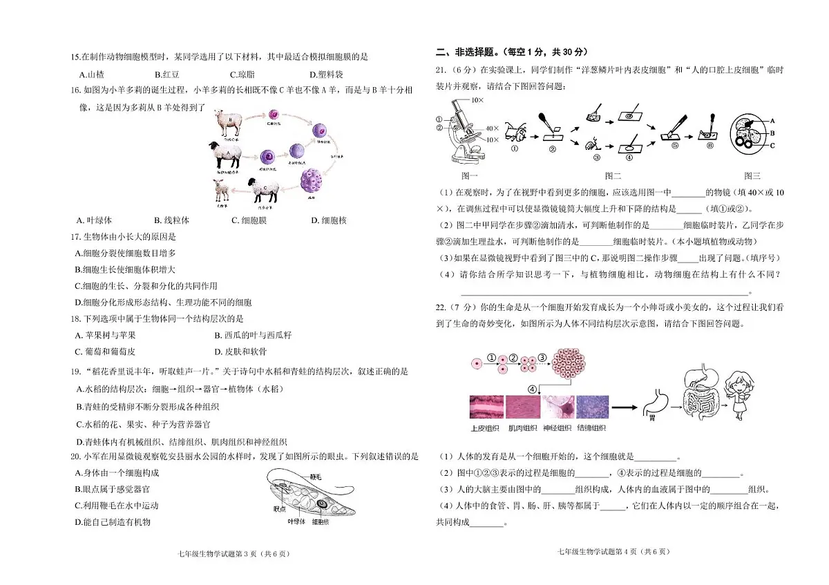 吉林省松原市乾安县2024~2025学年度第一学期期中教学质量检测 七年级生物试题(含答案)第2页