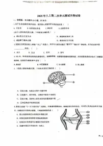 山东省德州市德城区第九中学2025-2026学年八年级上学期第二次月考生物试题