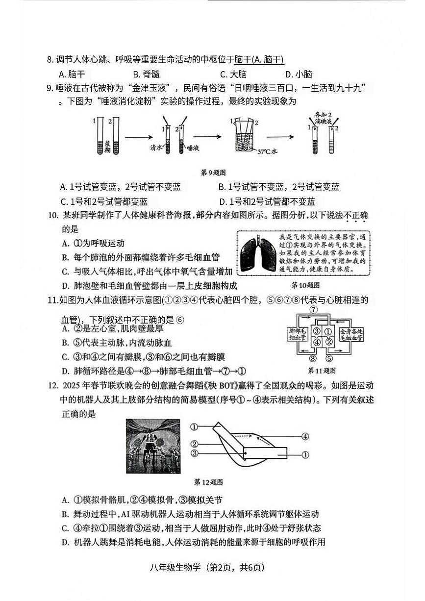 辽宁省沈阳市和平区2025-2026学年八年级上学期期末学情调研生物试题第2页