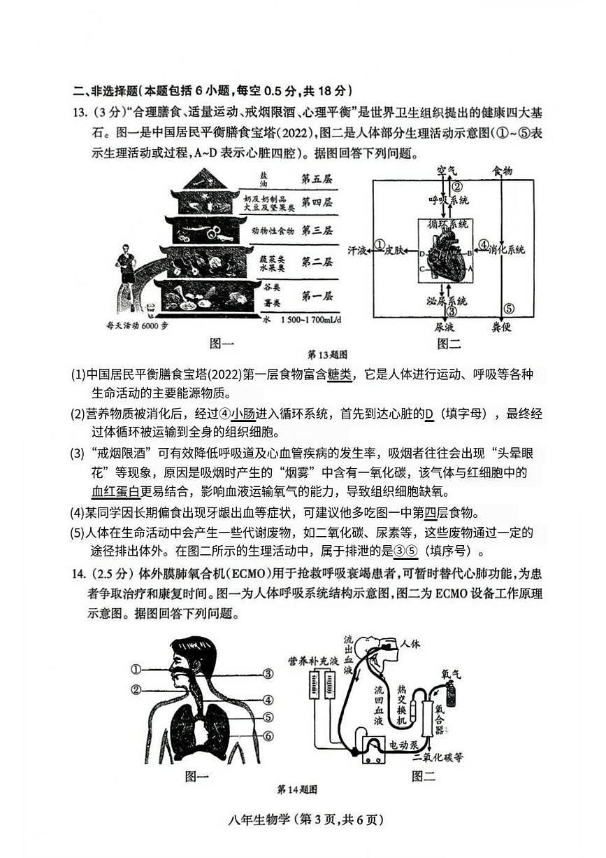 辽宁省沈阳市和平区2025-2026学年八年级上学期期末学情调研生物试题第3页