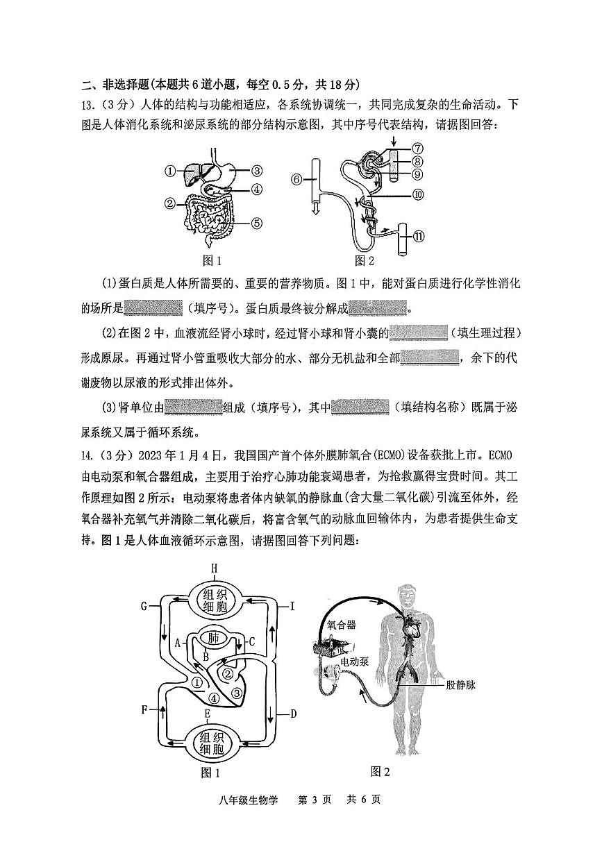 辽宁省沈阳市皇姑区2025-2026学年八年级上学期期末生物试题第3页