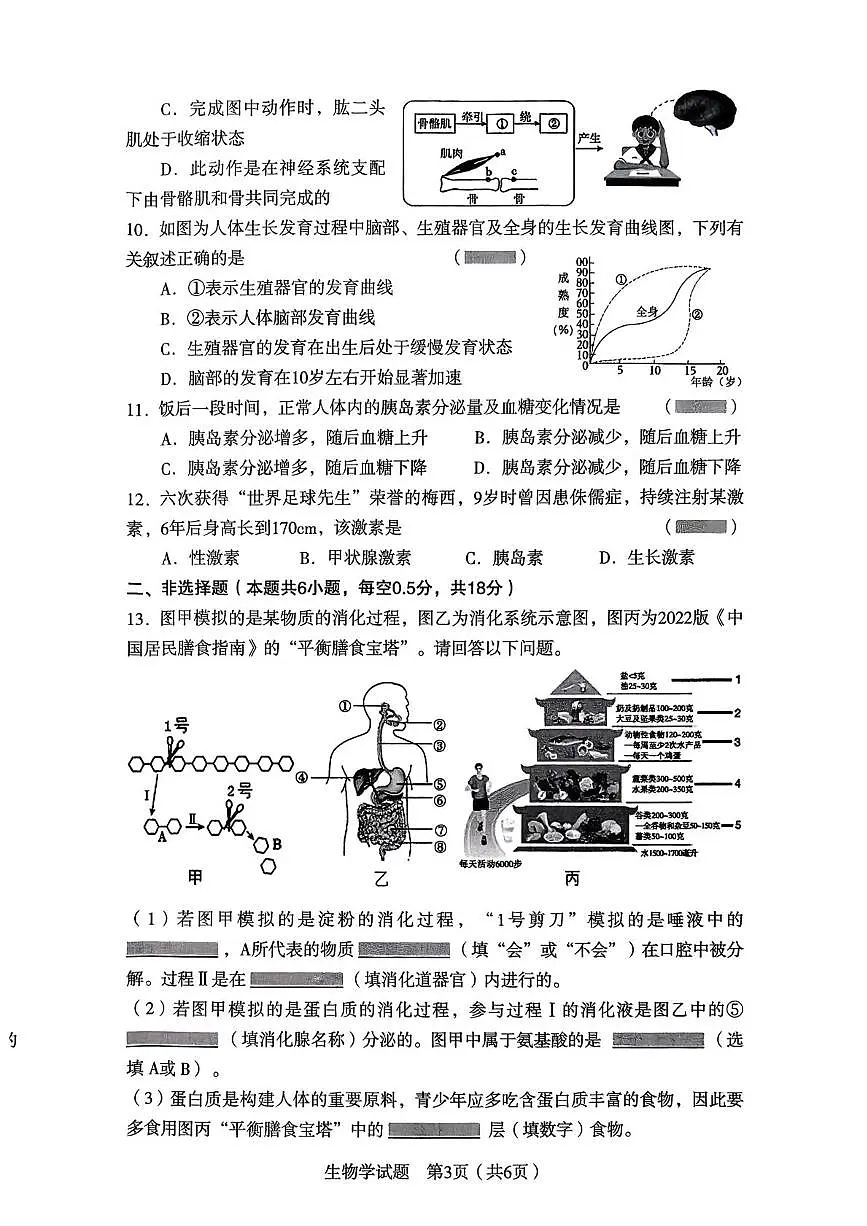 辽宁省沈阳市沈河区2025—2026学年八年级上学期生物期末试卷第3页