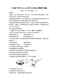 广东省广州市2025-2026学年八年级上学期期中生物试卷（学生版）