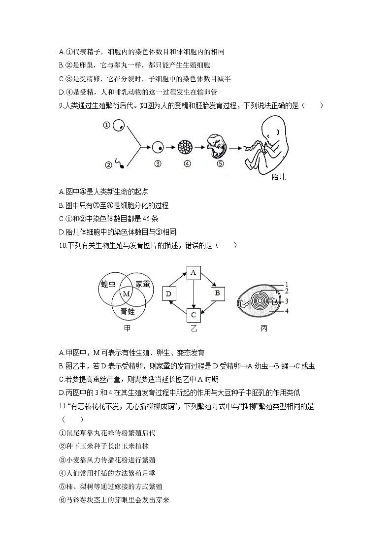 河北省张家口市桥西区2025-2026学年八年级上学期期中生物试卷(学生版)第3页