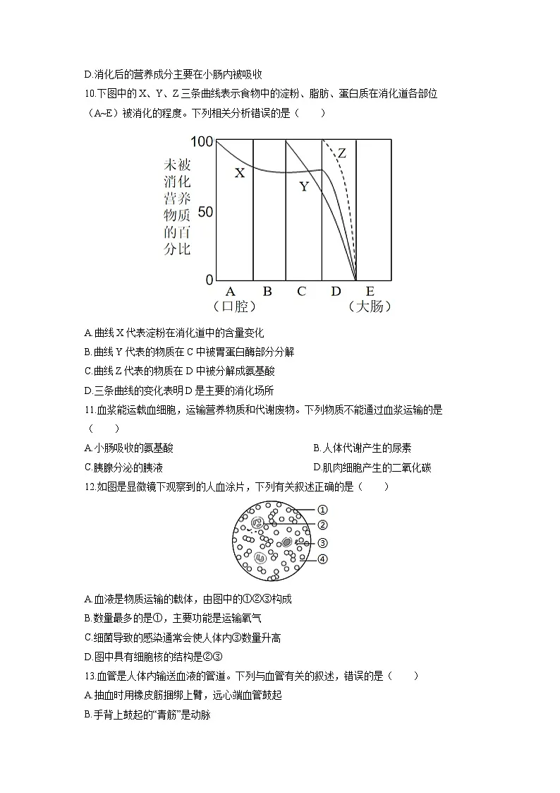 江苏省徐州市沛县初级学区2025-2026学年八年级上学期期中生物试卷(学生版)第3页