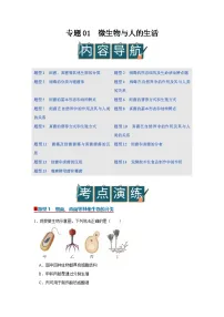 专题01 微生物与人的生活（期末复习专项训练）2025-2026学年八年级初中生物（北师大2024）