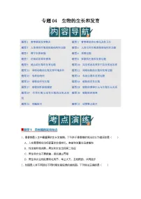 专题04 生物的生殖和发育(期末复习专项训练)2025-2026学年八年级初中生物(北师大2024)