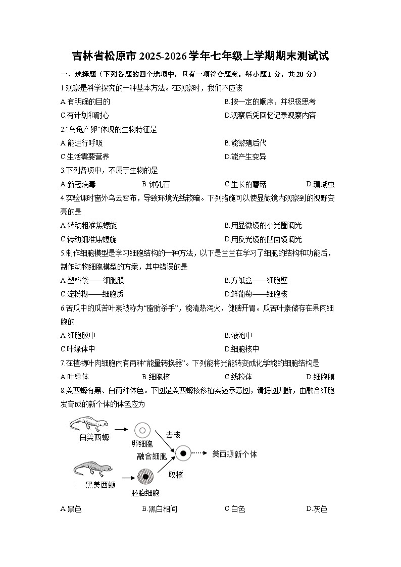 吉林省松原市2025-2026学年七年级上学期期末测试生物试卷(学生版)第1页