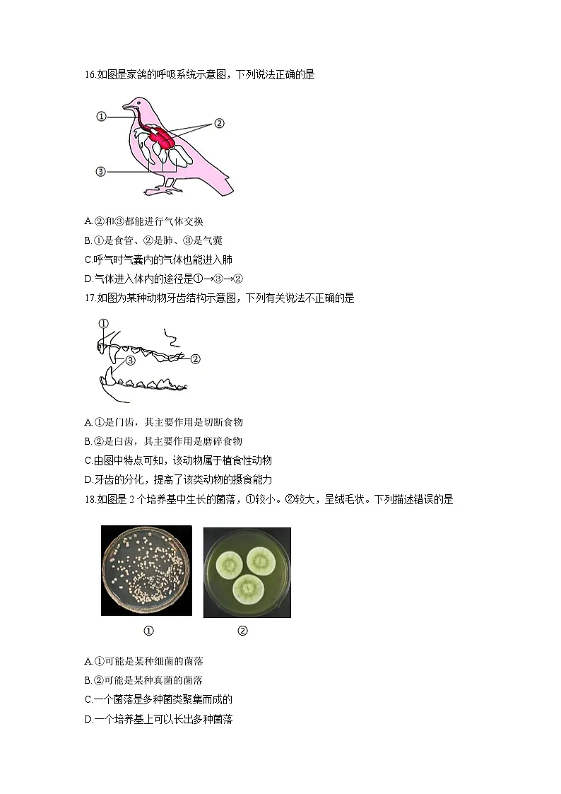 吉林省松原市2025-2026学年七年级上学期期末测试生物试卷(学生版)第3页